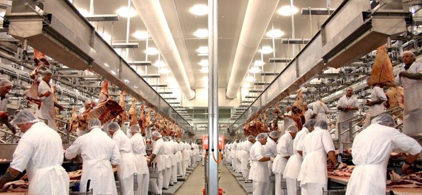 Industria carnica - segell expres