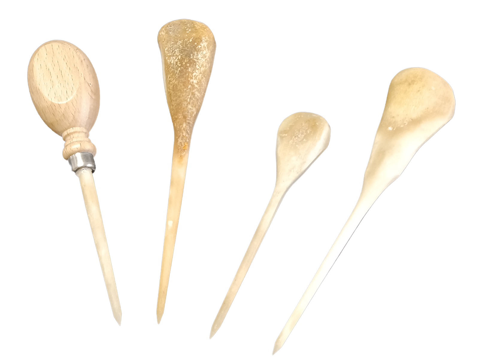 Cala integra de Hueso de Vaca para la cata de jamones 8/360-3 | Segell Expres