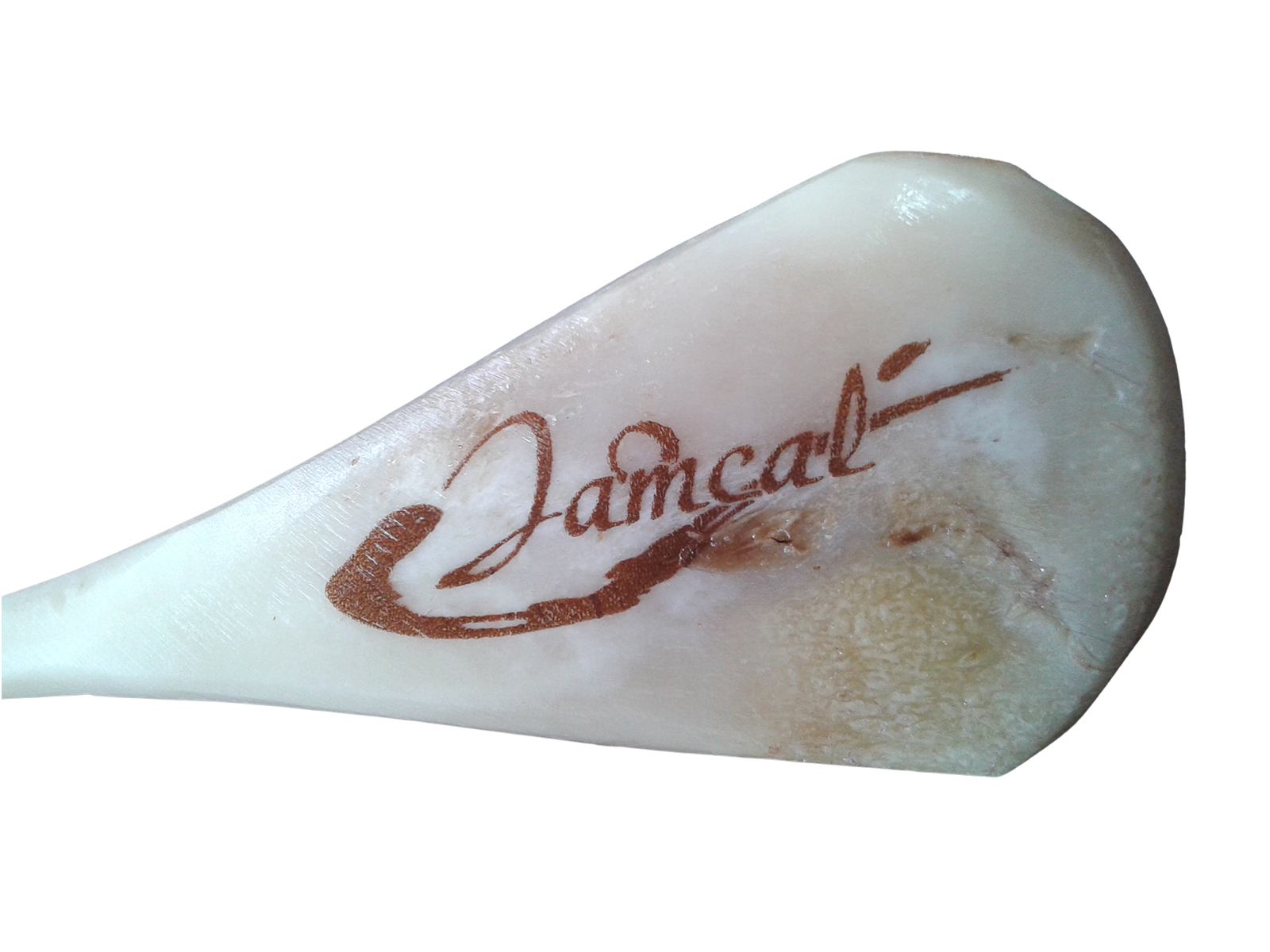 Cala integra de Hueso de Vaca para la cata de jamones 8/360-3 | Segell Expres